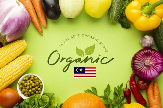 Top Organic Brand Store in Malaysia