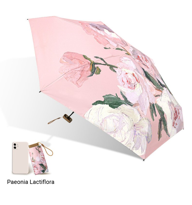 Painted Pocket Umbrella with Pouch Description 13