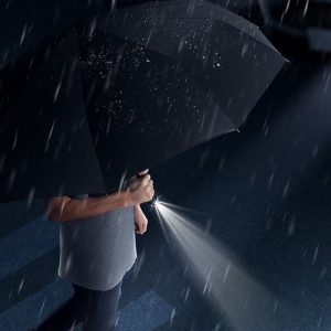 Fully Automatic Umbrella with Torch Light 2