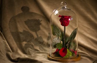 Beautiful Preserved Flowers for Valentine's Day