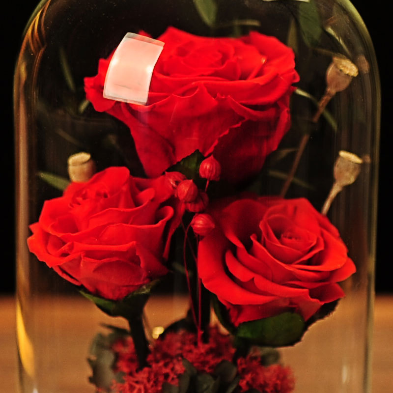ILY Eternal Rose Jar 2
