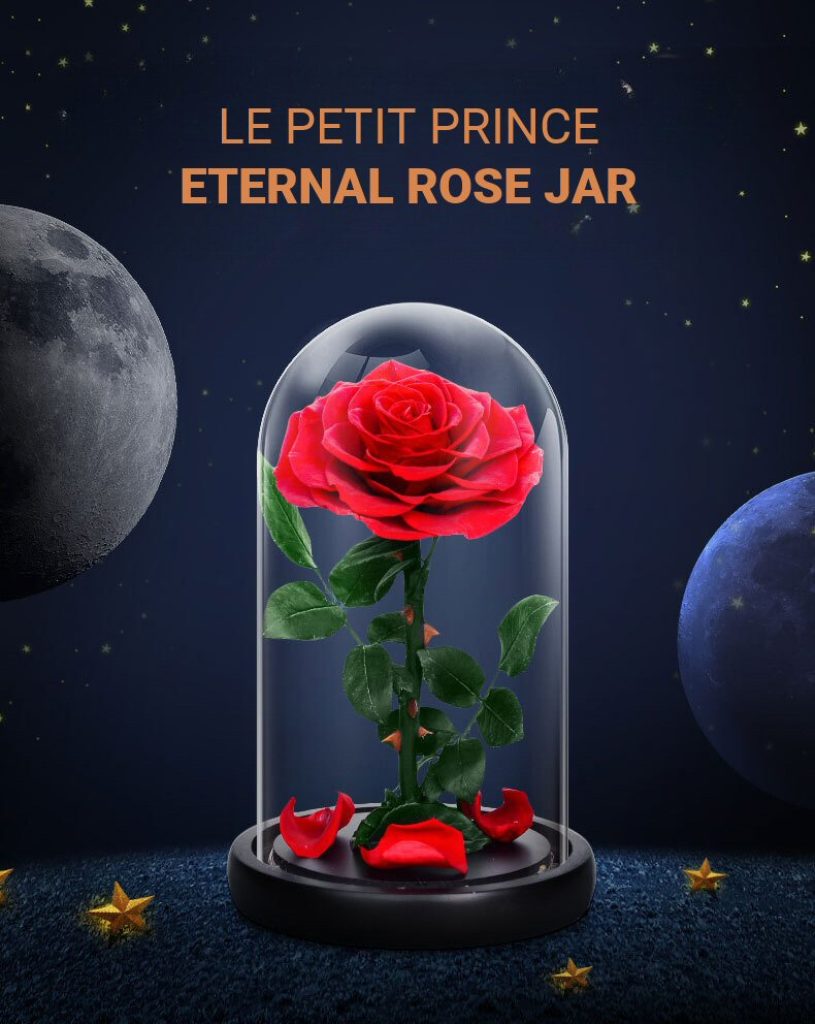 Rose Du Petit Prince Éternelle Sous Dôme En Verre - Fleur Préservée Avec LED, Idéal Cadeau Amour