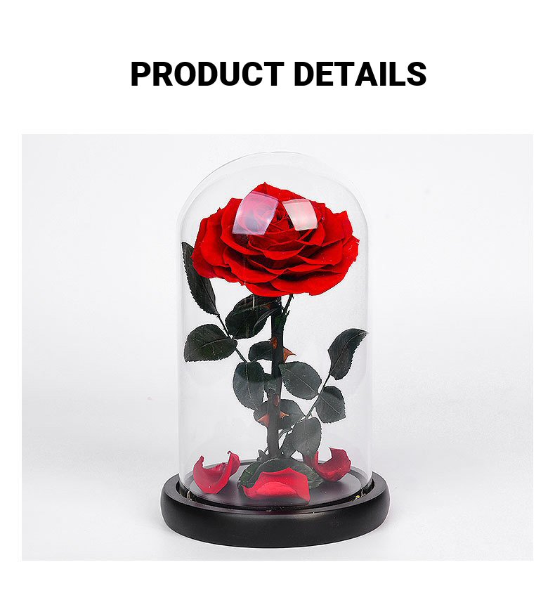 Le Petit Prince Eternal Rose Jar Description 10