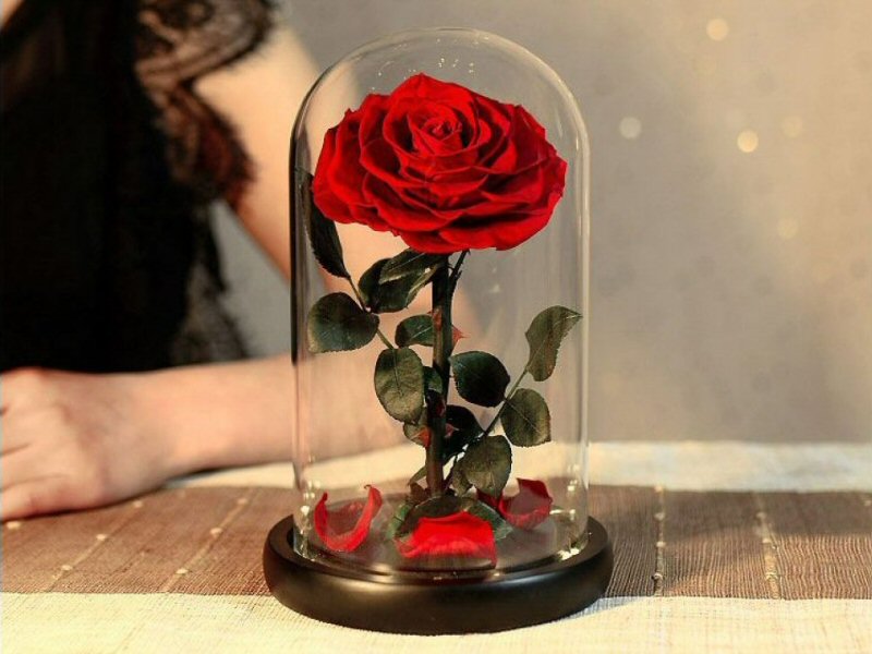 Le Petit Prince Eternal Rose Jar